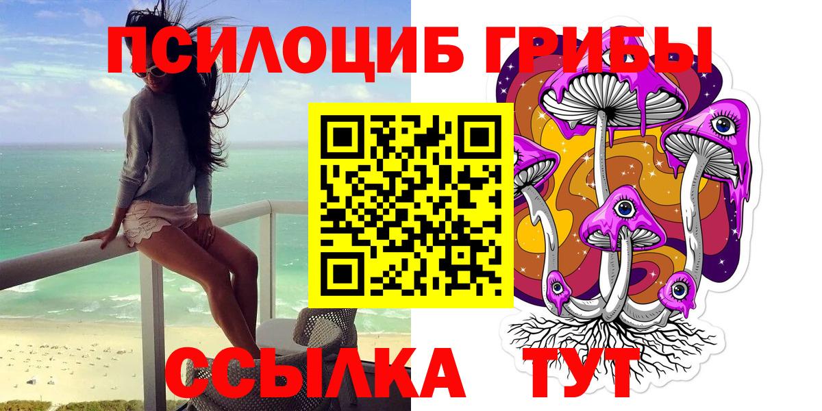 Волоколамск  Галлюциногенные грибы ЛСД  Вход с VPN 