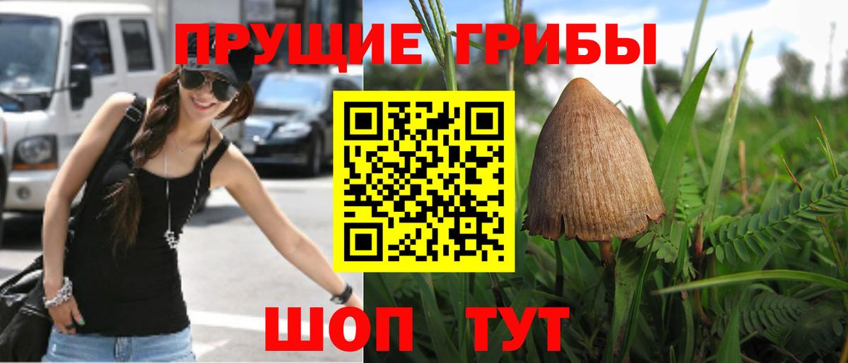 Галлюциногенные грибы MAGIC MUSHROOMS Волоколамск